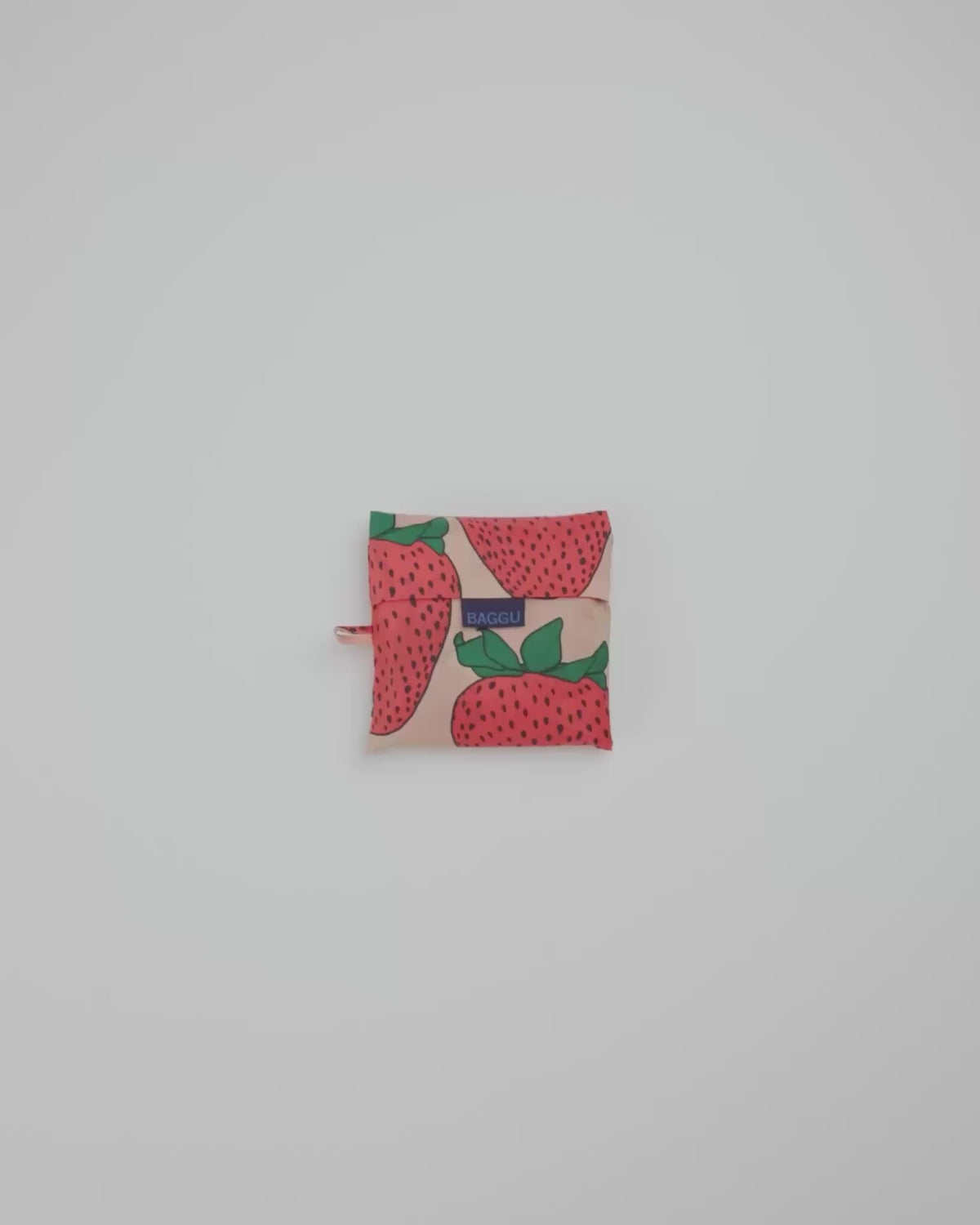 Big Baggu